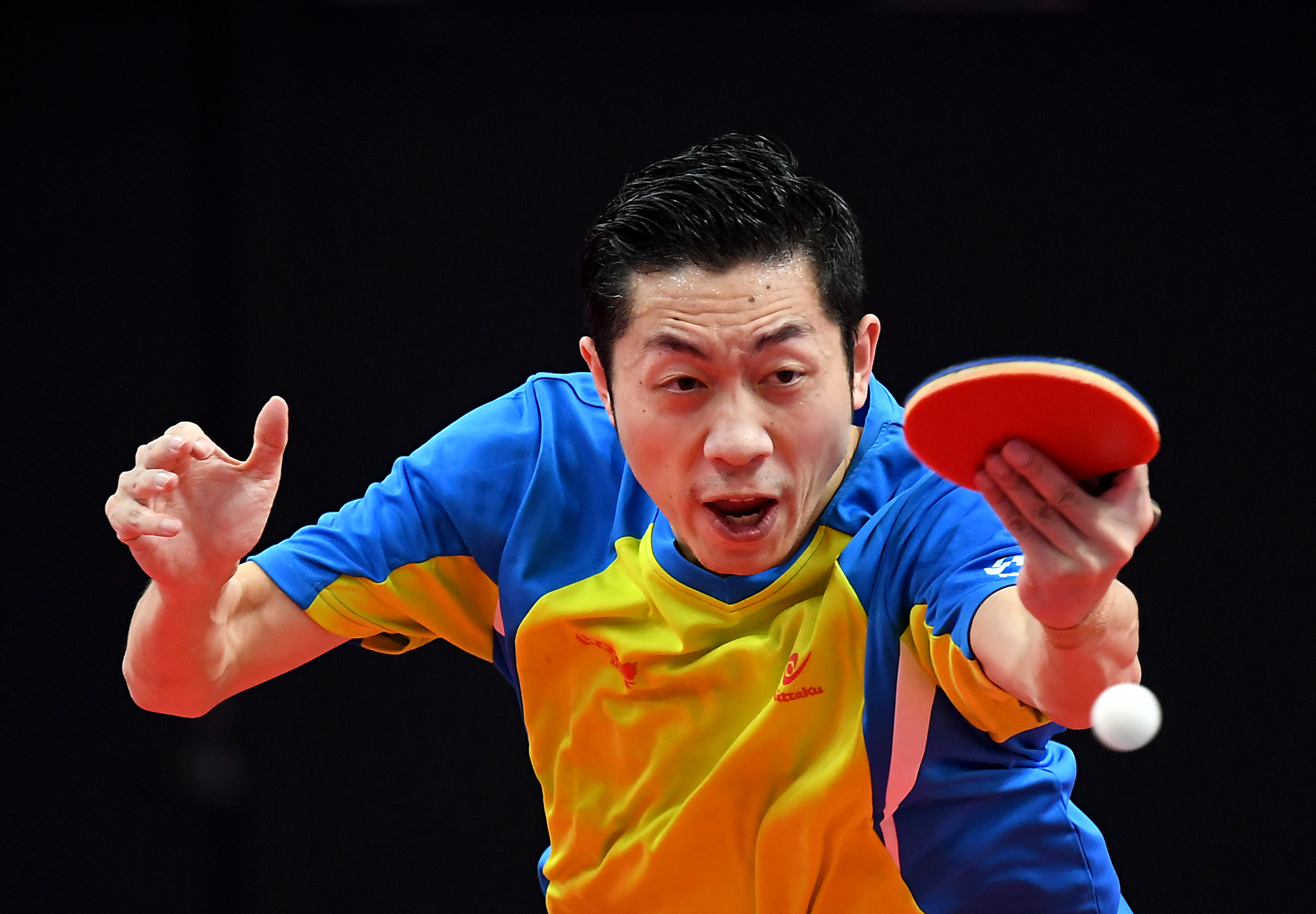 德国乒乓球队力克日本乒乓球队，许昕爆发神勇的简单介绍