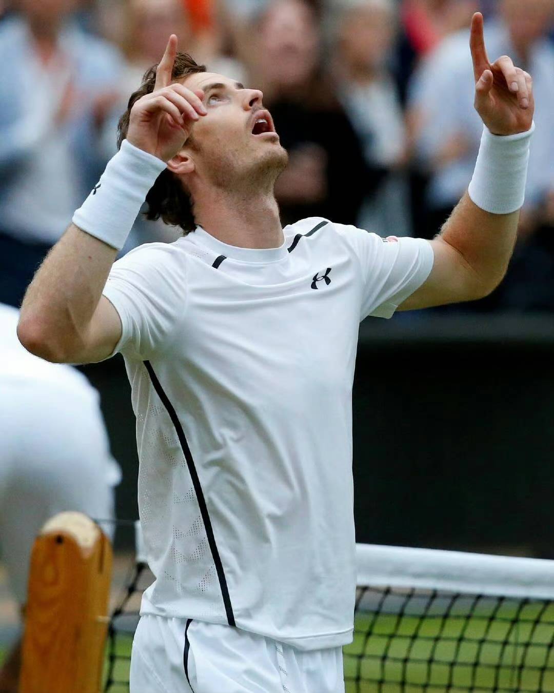 蒙特卡洛大师赛绝杀温网，穆雷高光表现